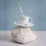 Neptune Saucer- White