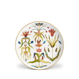 Grand Tour Dinnerware + Espresso (Set of 5)