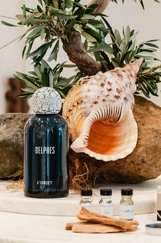 Delphes L'Objet perfume bottle with a large shell and plant in the background